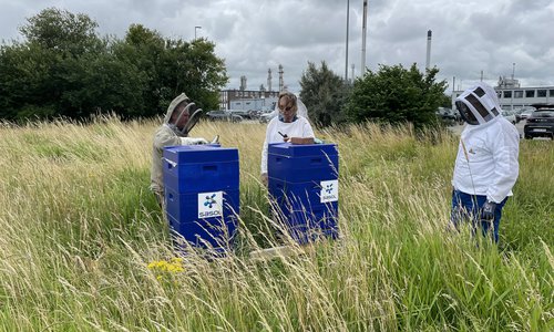 Imker in Schutzanzügen an Bienenstöcken vor einer Industrieanlage